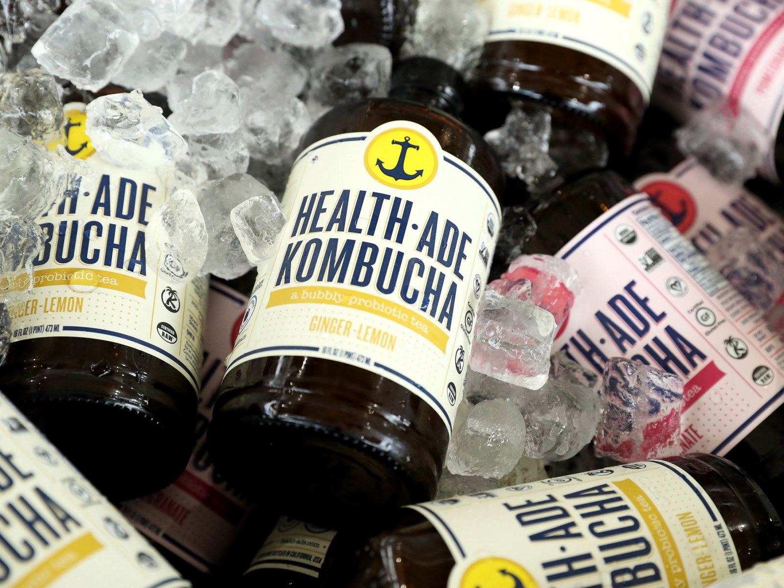 National Kombucha Day Is Kombucha Actually Good For You And How To Get Free Kombucha Today National Kombucha Day Is Kombucha Actually Good For You And How To Get Free Kombucha Today