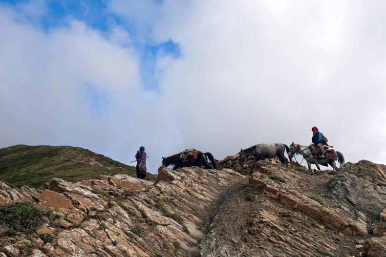 Tibetan Nomads