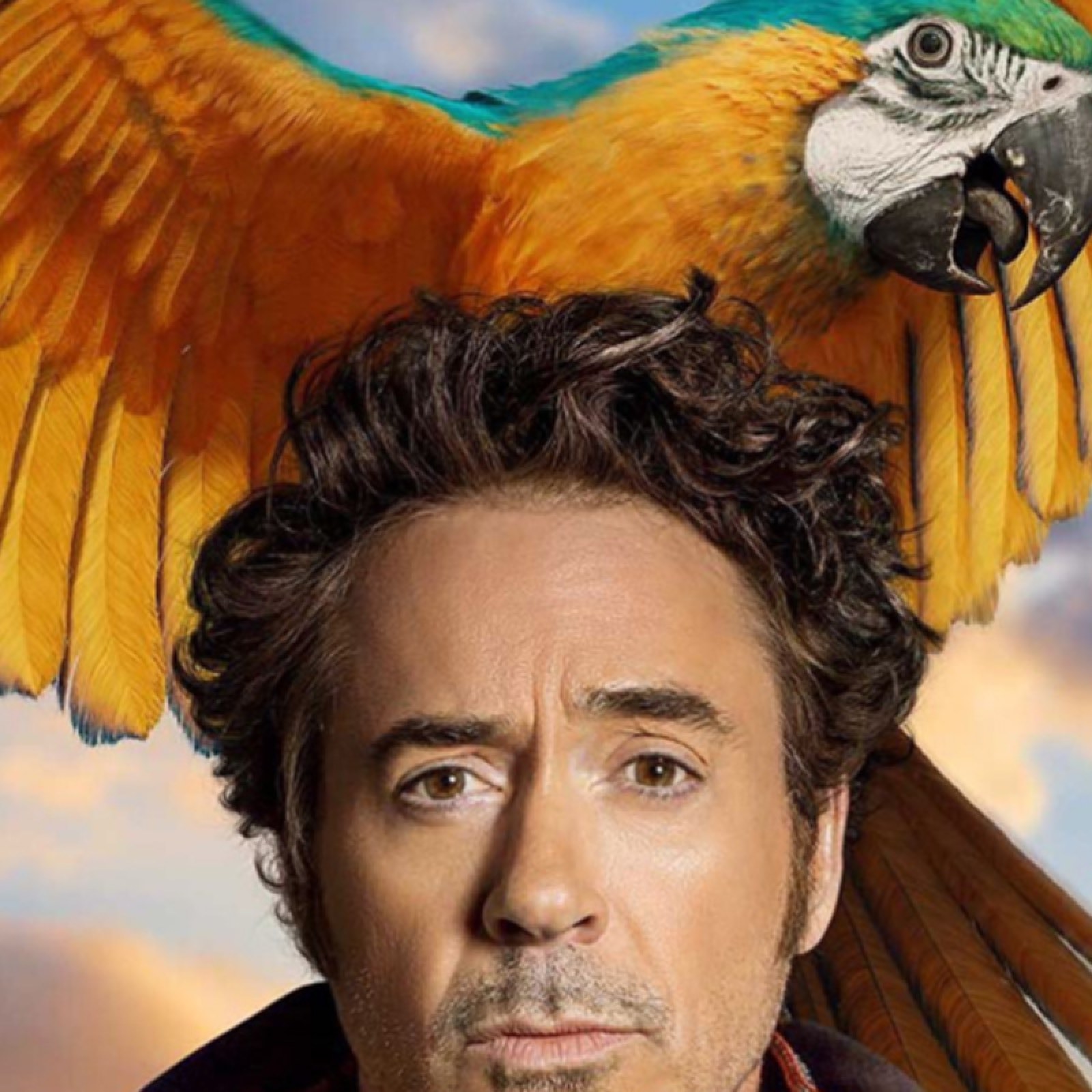Dolittle' Cast: Who Voices the Animals in the New Robert Downey Jr. Movie?