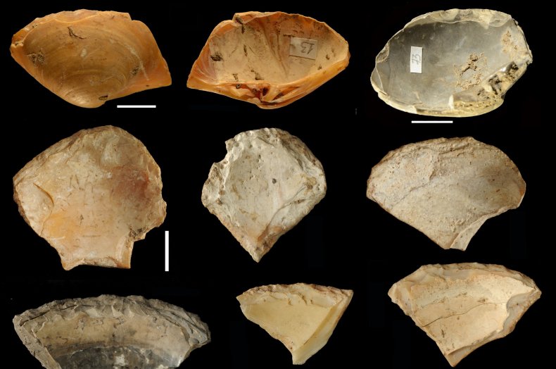 Neanderthal clam shells