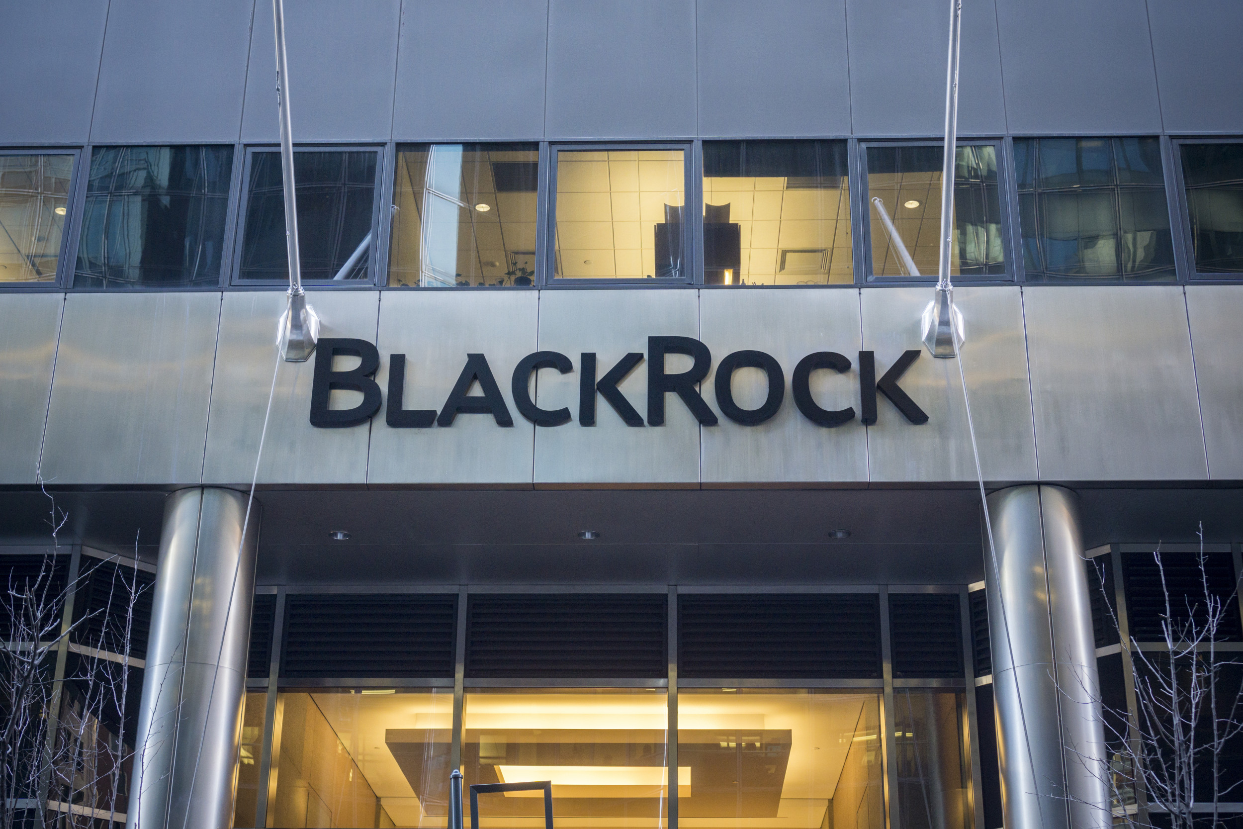 BlackRock Is Smart To Prioritize The Climate and Business Leaders Know 