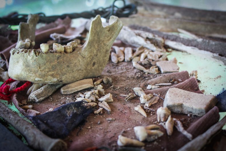 A human jawbone and other bone fragments