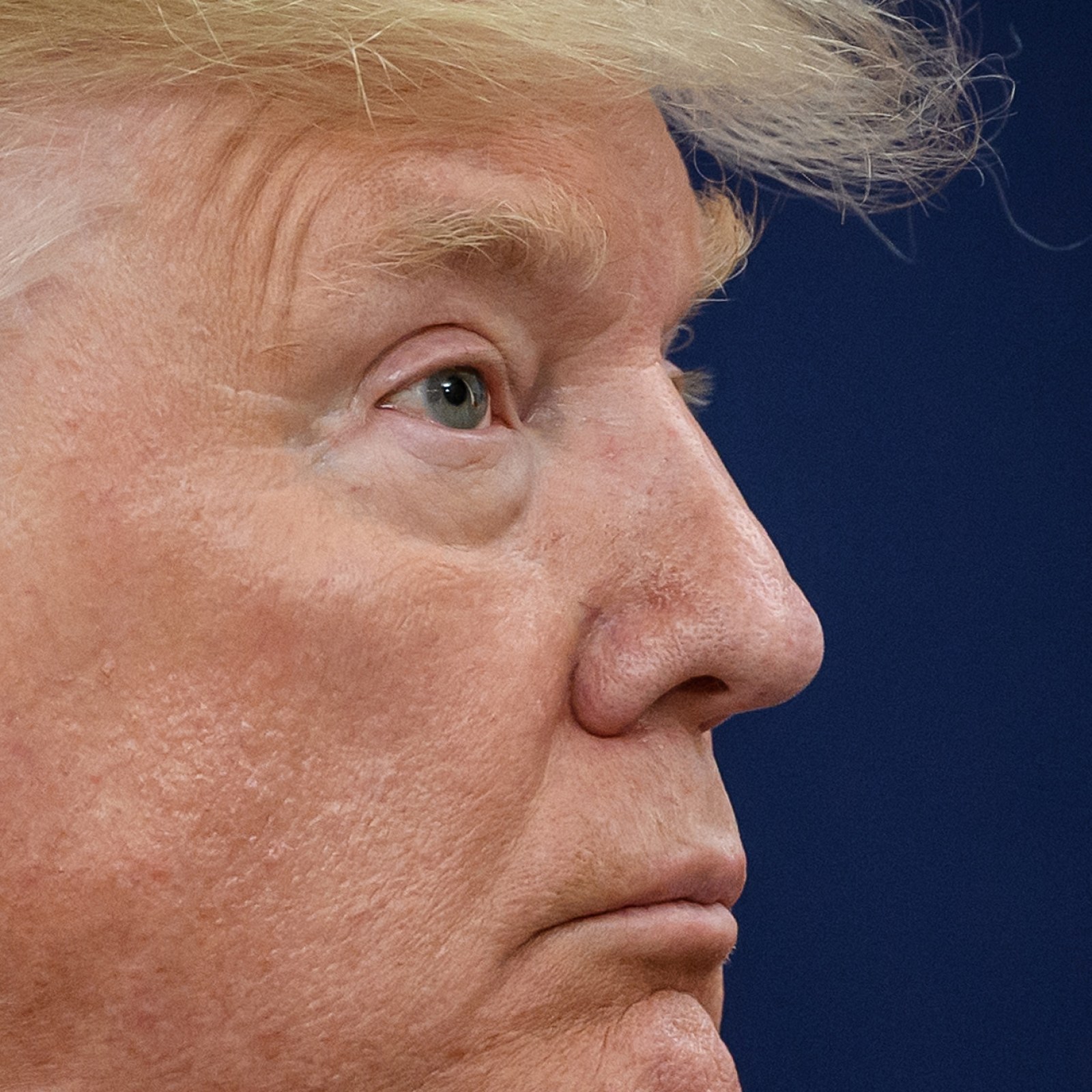 Donald Trump Is Losing Head To Head To Every Democratic Front Runner In New National Poll