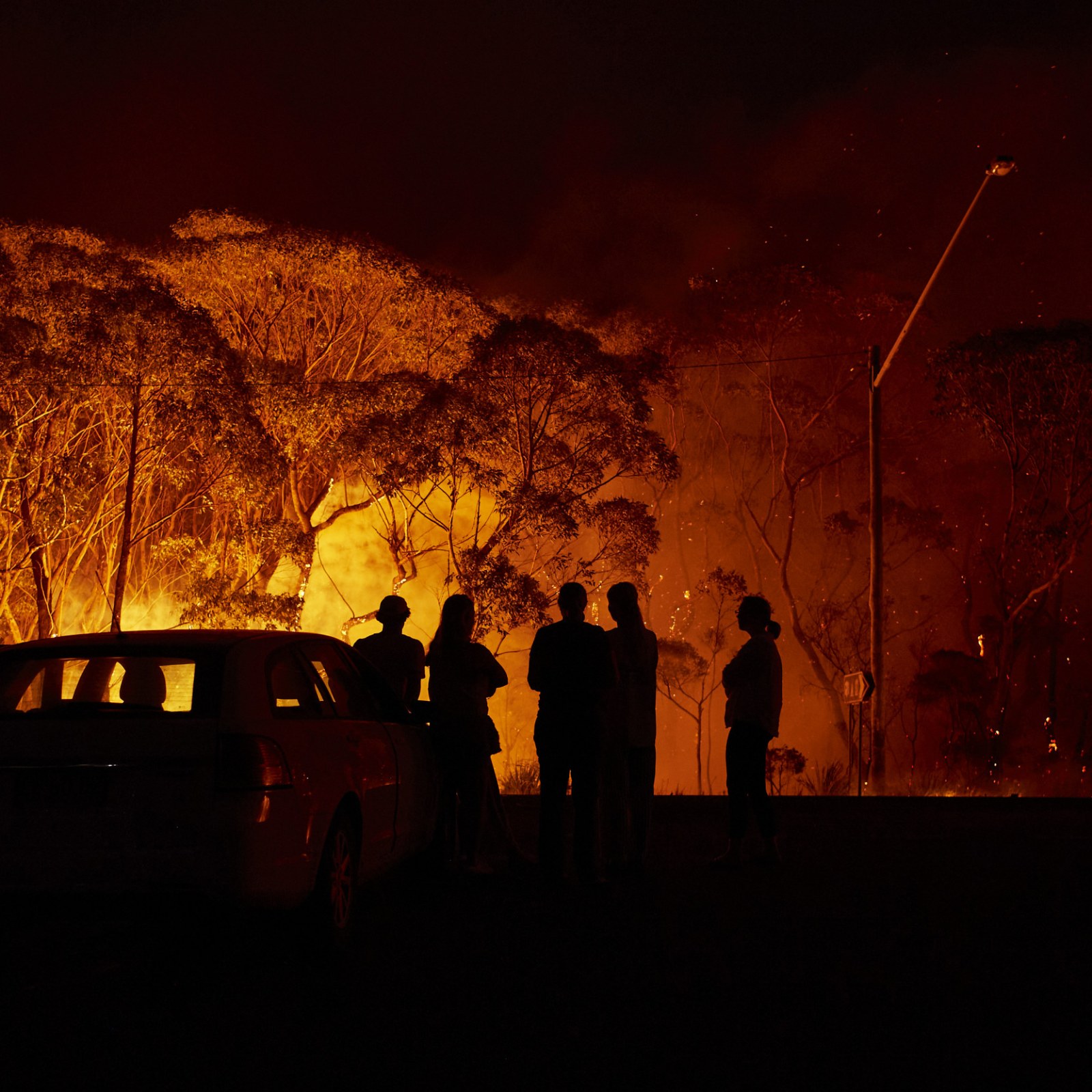 Red Cross Accused Of Withholding Millions Of Dollars In Donations Meant For Australian Bushfires Red Cross Accused Of Withholding Millions Of Dollars In Donations Meant For Australian Bushfires