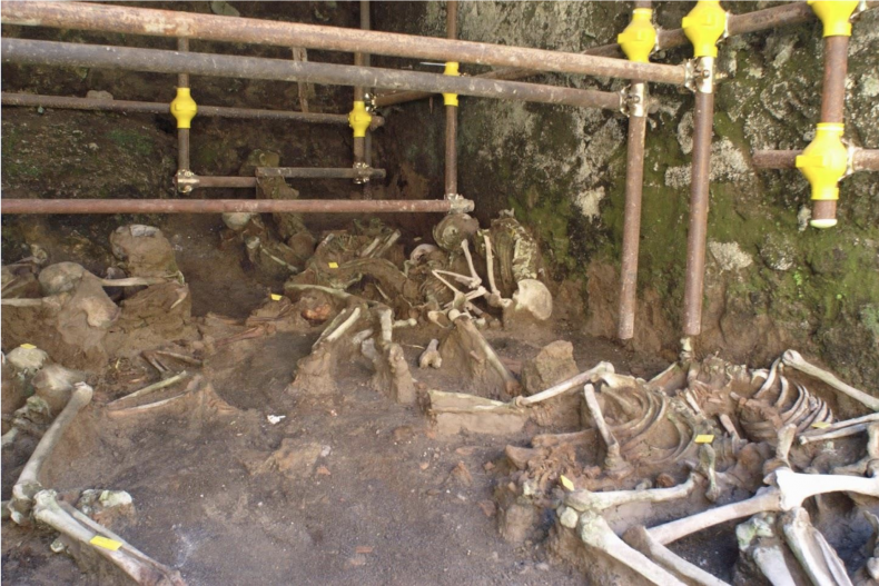 Herculaneum, fornici, human remains