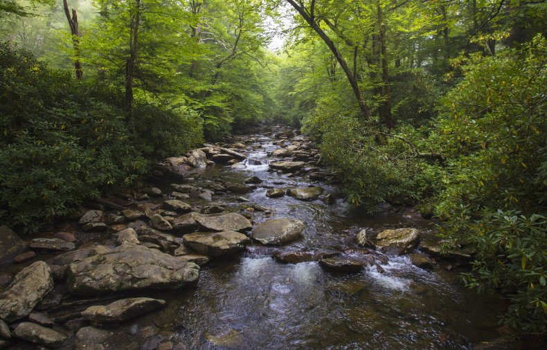 Water Way