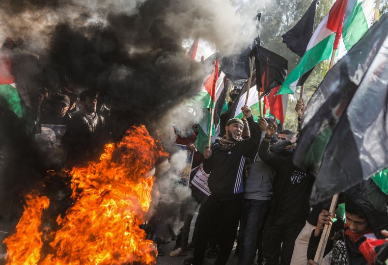 palestine, gaza, protests, flags, trump, peace, plan
