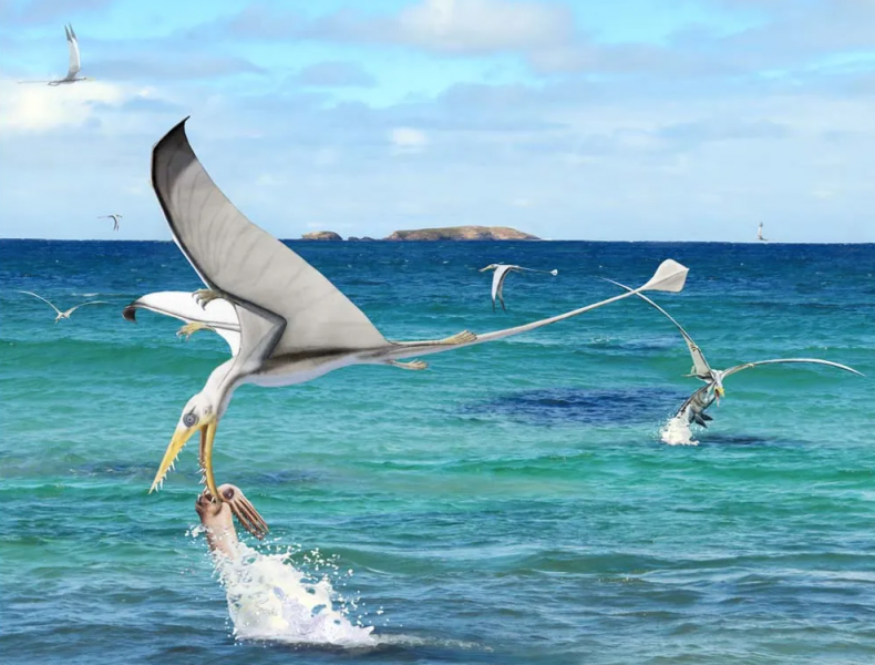 Pterosaur hunting squid