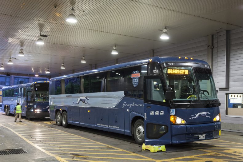 Greyhound