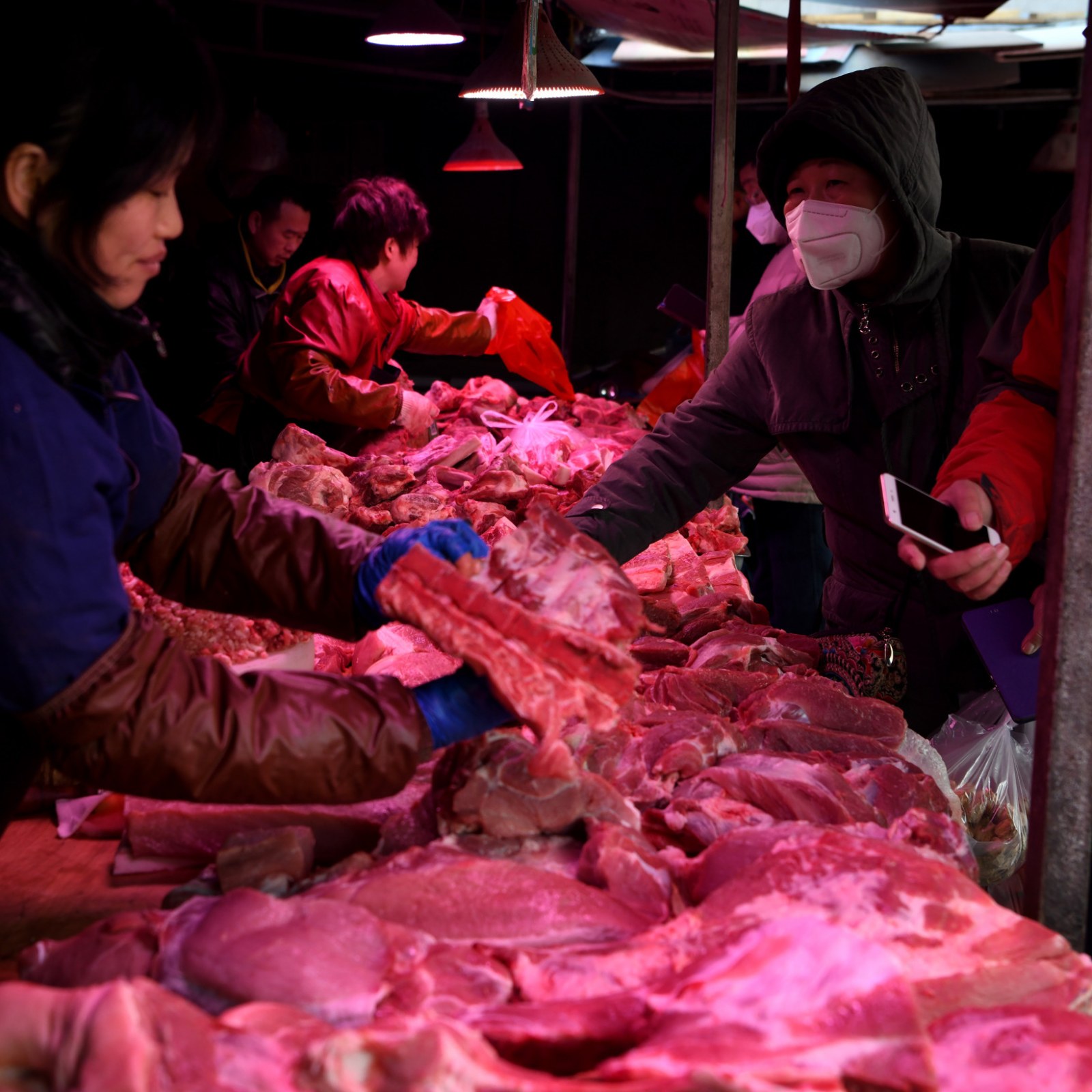 Coronavirus Trade Ban Sees Frozen Eagles, Leopard Cats, Raccoons ...