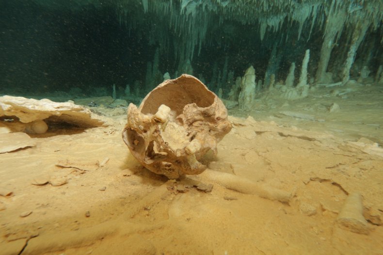 Mexico cave skull