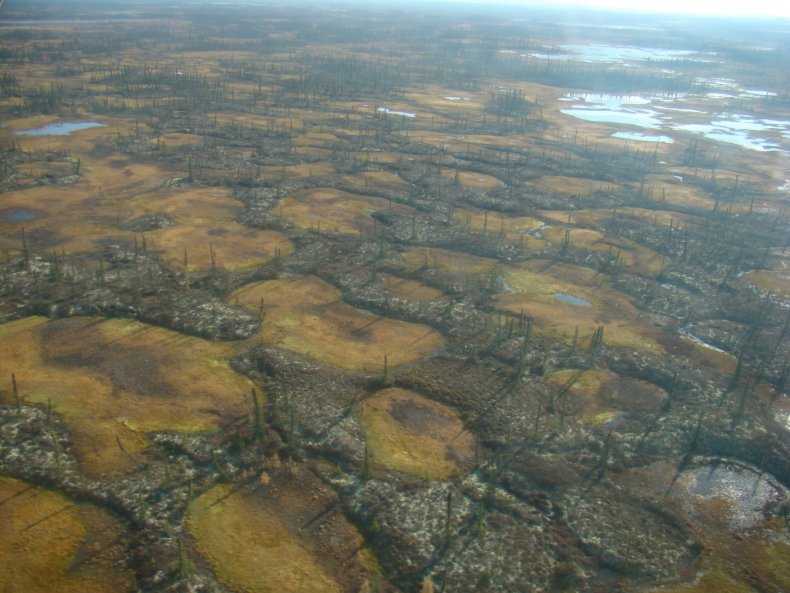 Innoko National Wildlife Refuge, Alaska