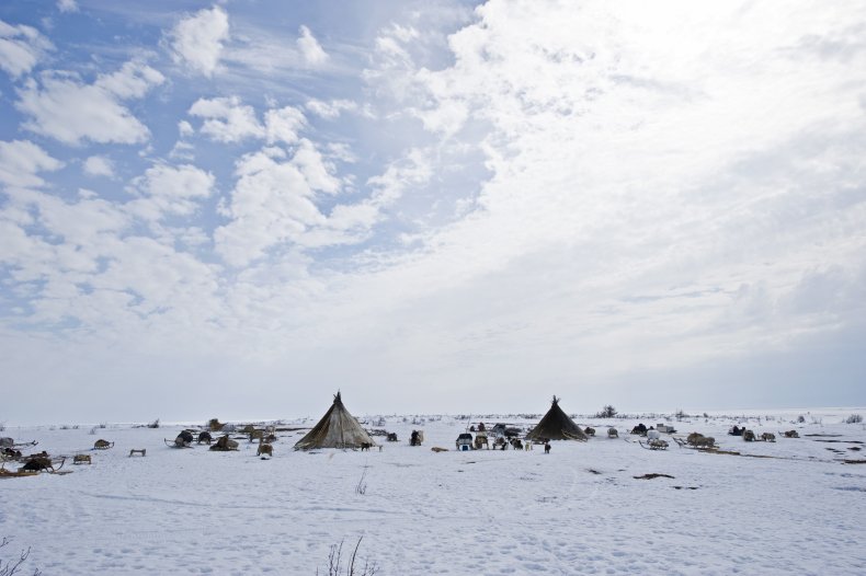 Yamal peninsula