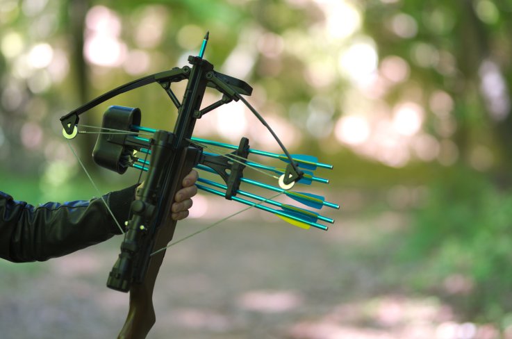 crossbow crossbow