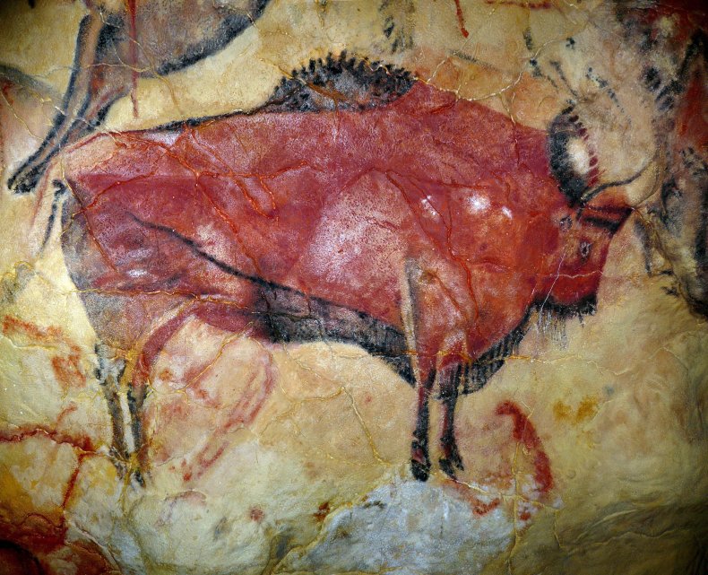Altamira, cave painting, bison, Spain