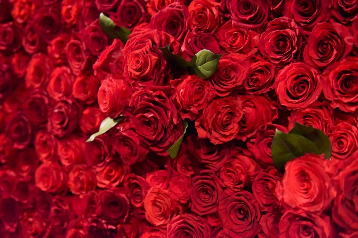 valentine's day images february 14 love valentine's day images february 14 love
