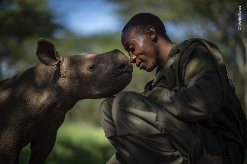Martin Buzora - Wildlife Photographer of the Year