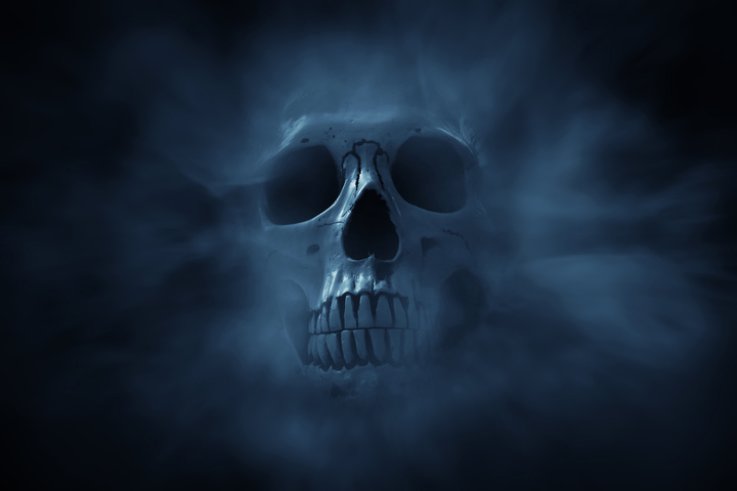 skull skull