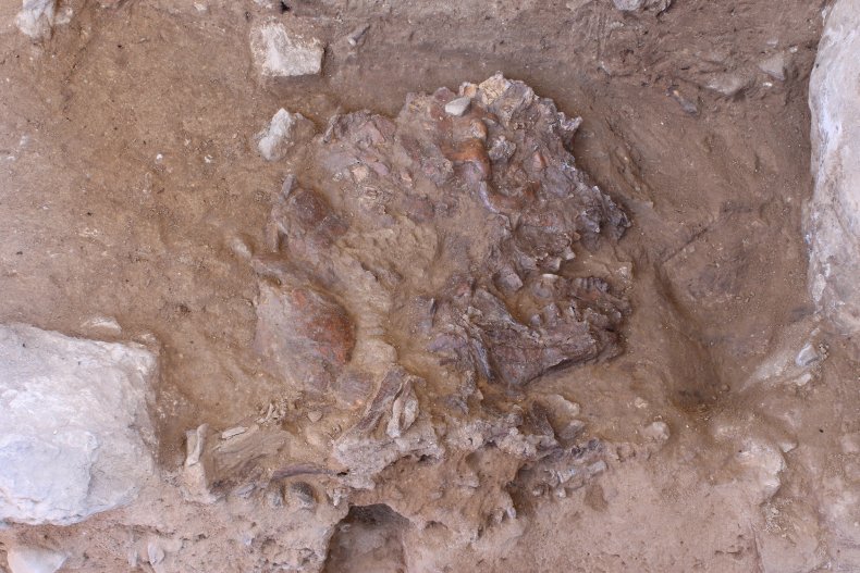 Neanderthal remains, Shanidar Cave, Iraqi Kurdistan