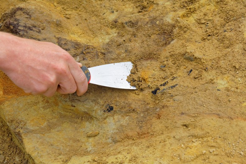 archaeological dig