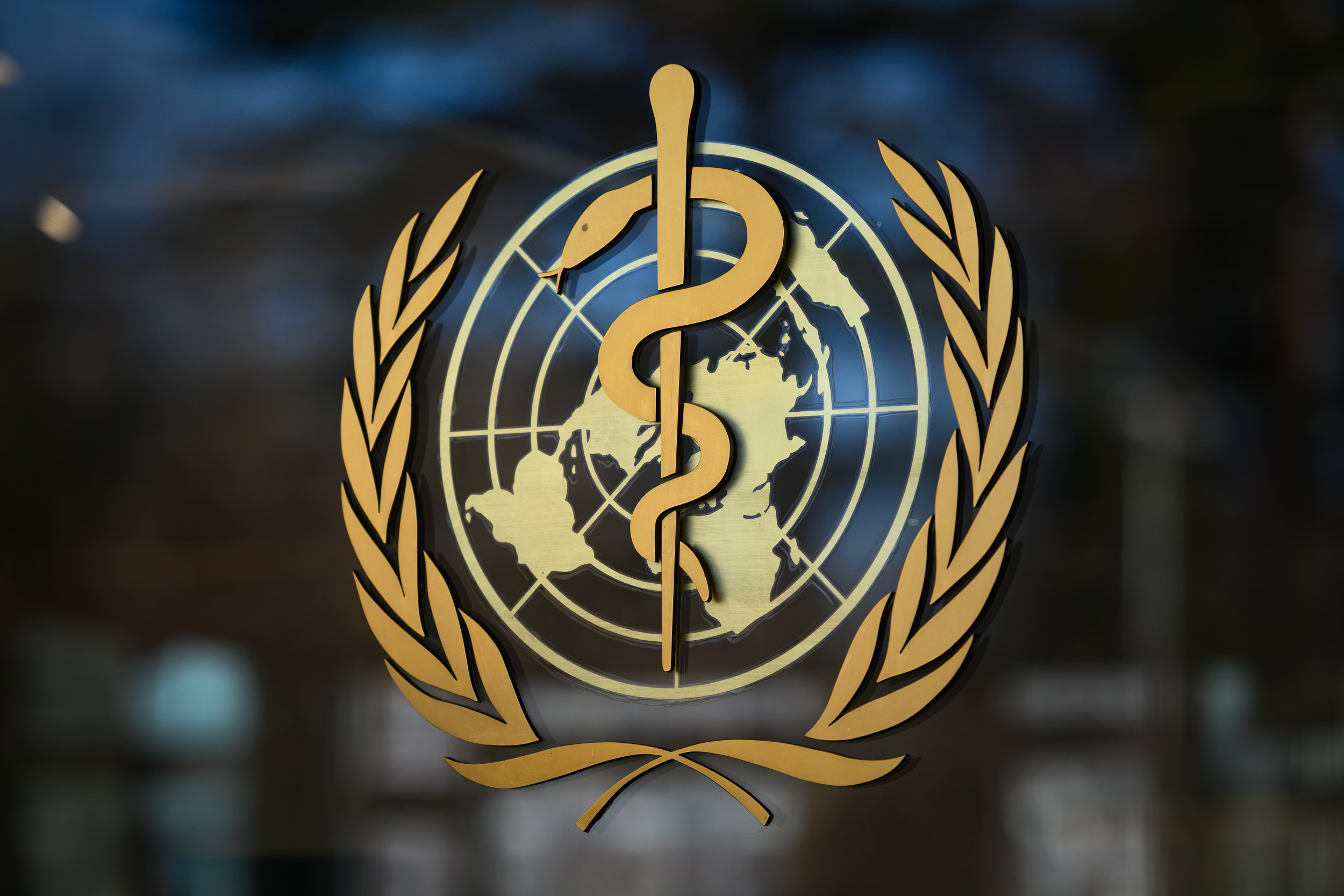 Marburg Virus - World Health Organization WHO