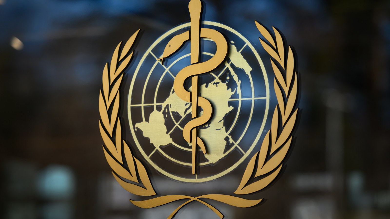 WHO Doctor Says 'We Don't Have a Crystal Ball' When Asked If ...