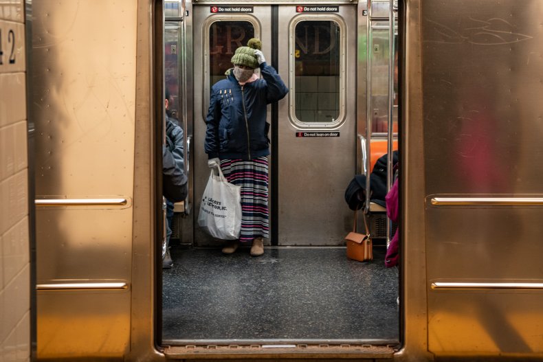Passenger on the New York Subway Passenger on the New York Subway