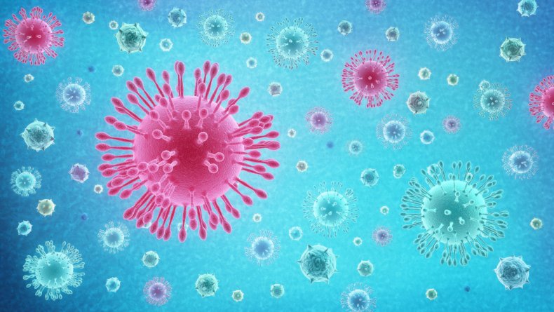 coronavirus