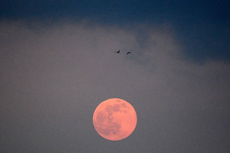 supermoon