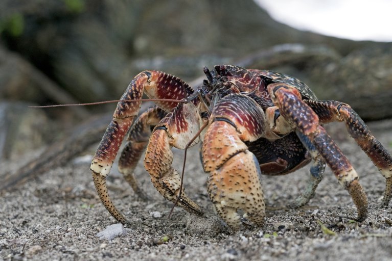 Technology News, Opinion and Analysis Newsweek Tech