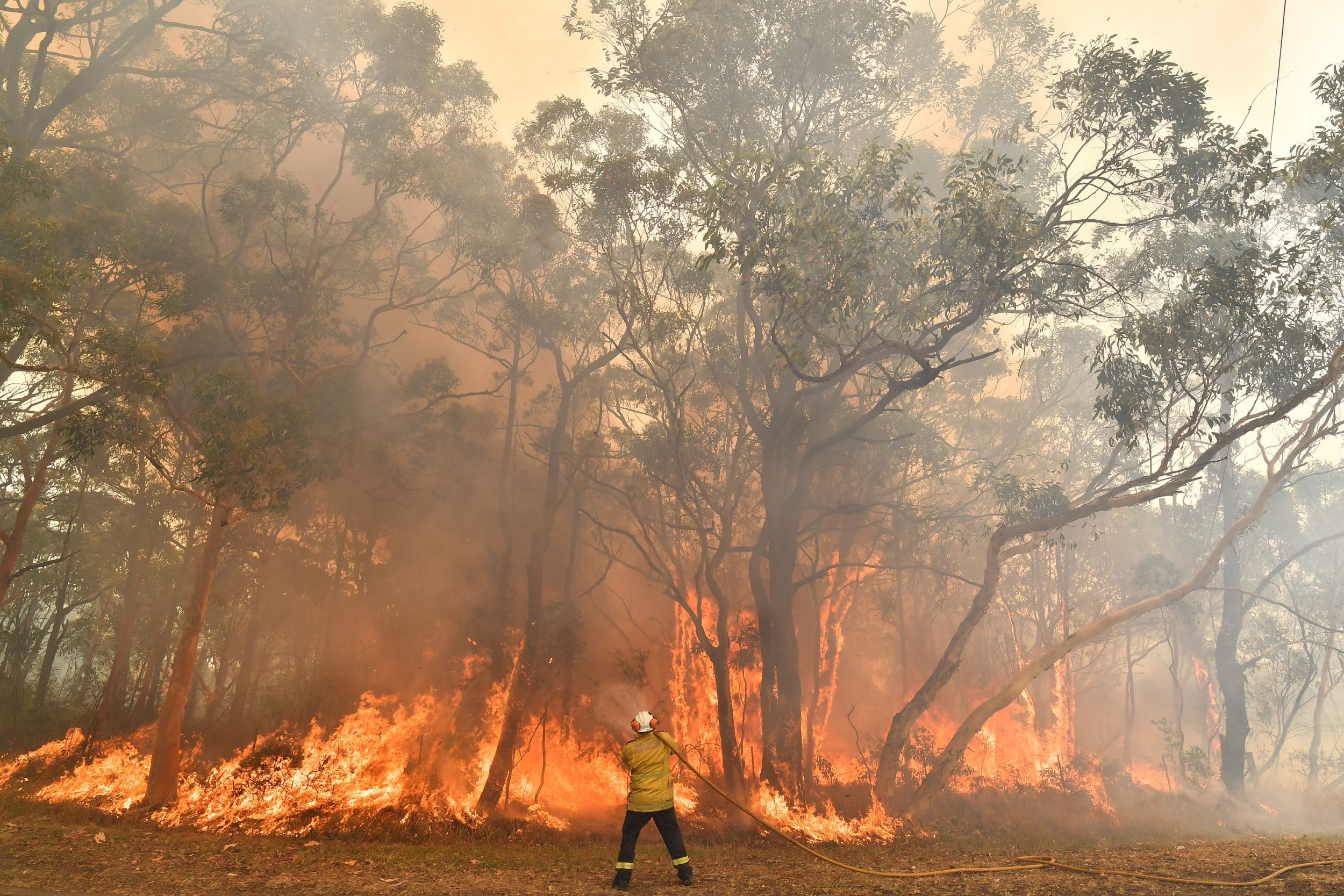 Extreme Ocean Phenomena in 2019 May Have Set Australia Up For The Fires That Ravaged the Country, Study Finds - Newsweek
