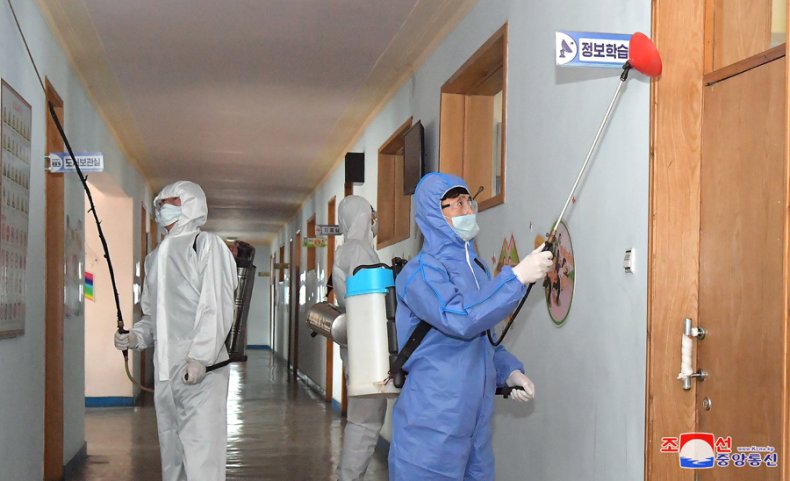 north, korea, coronavirus, covid-19, disease