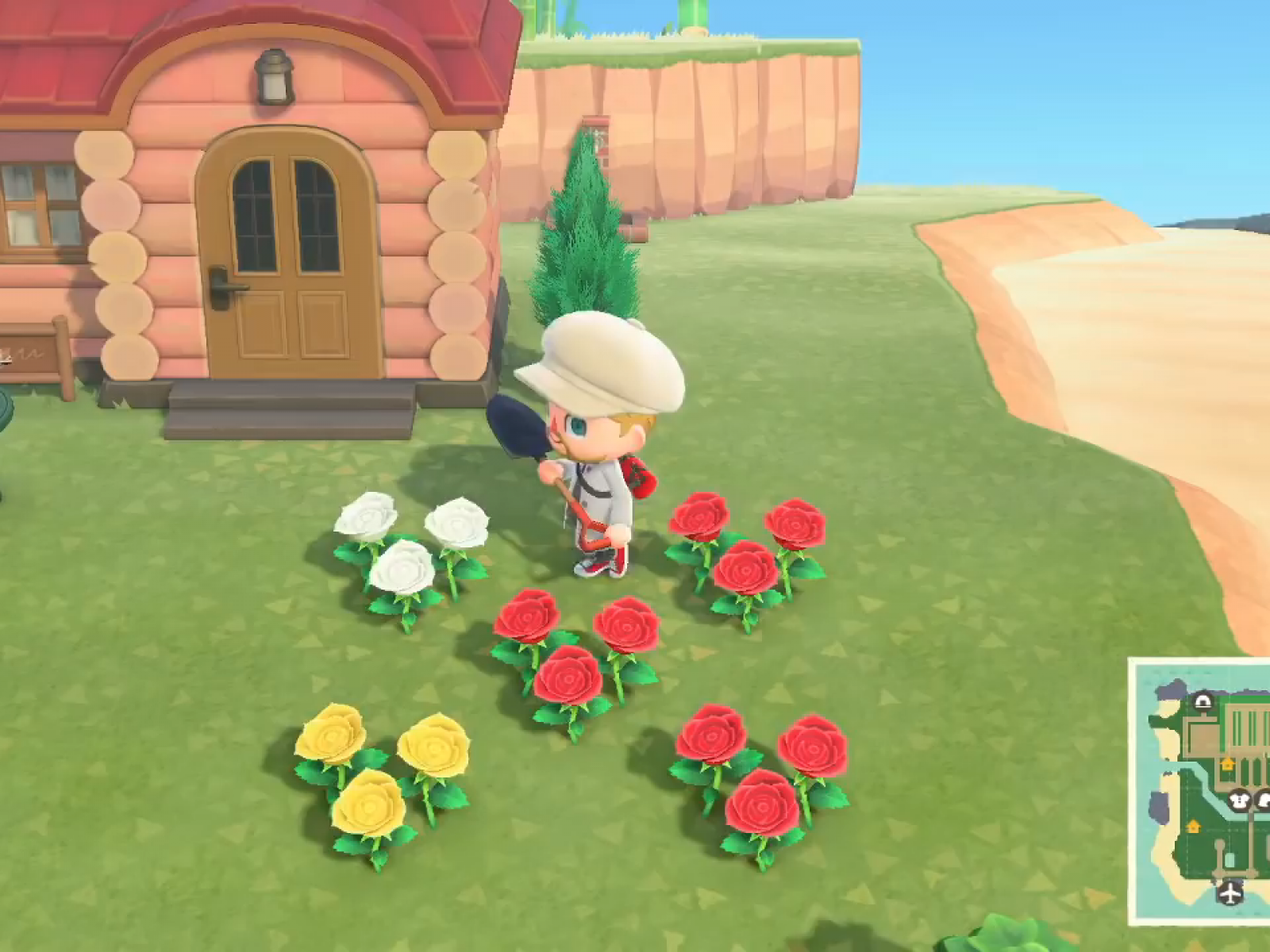 Animal Crossing New Horizons Flower Guide List How To Breed Hybrids
