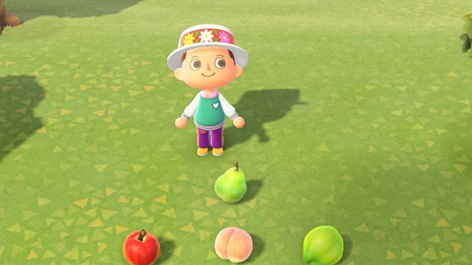 Animal Crossing New Horizons Fruit Guide How To Plant Get More Fruit