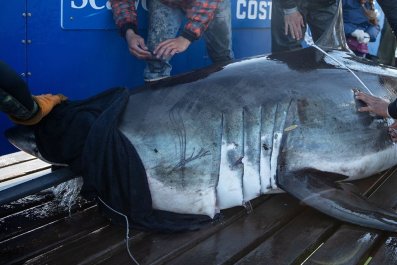 A judge's gavel resting on a pile of one-dollar bills
