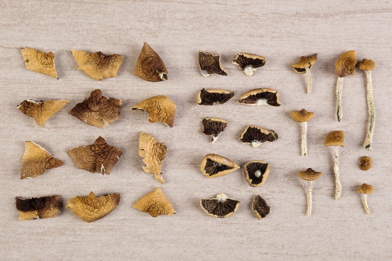 psilocybin, magic mushrooms, drugs, psychedelics, stock, getty