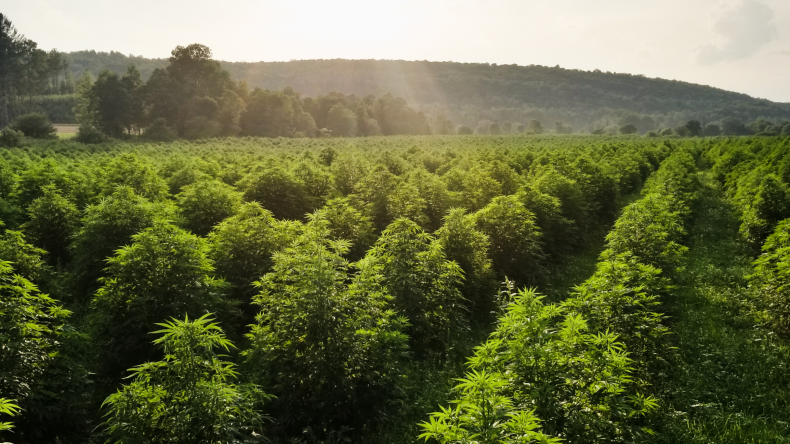 Sunsoil's Vermon Farms