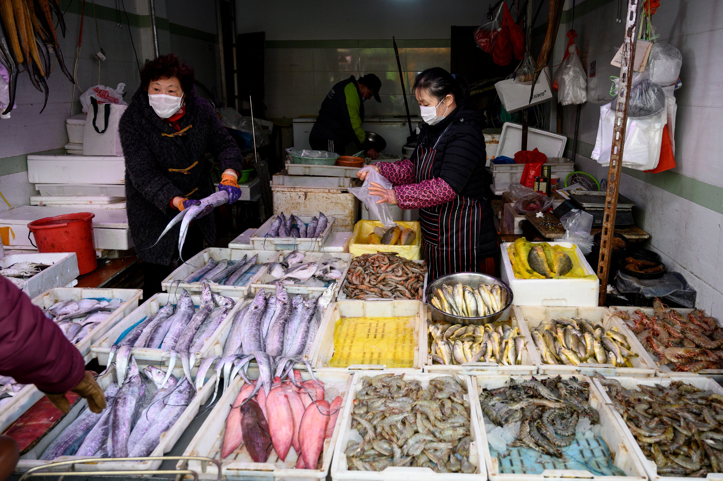 What is a Wet Market? Calls For Crackdown on Selling Live Animals Amid  Coronavirus Pandemic