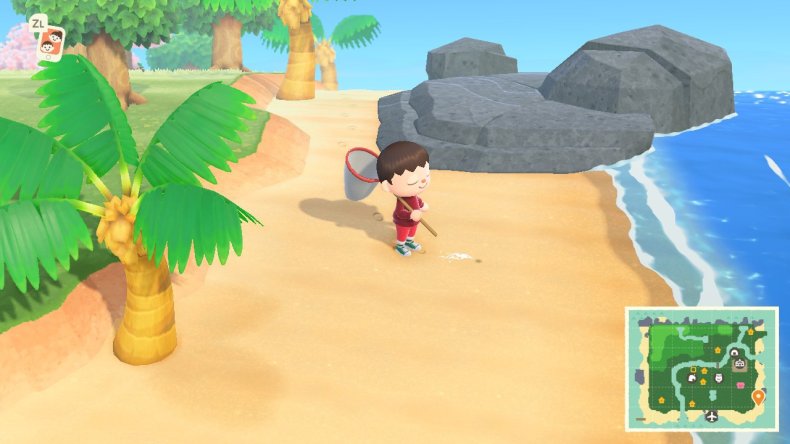 Animal Crossing: New Horizons' Gulliver Guide - Find Communicator Parts &  Wake Him Up