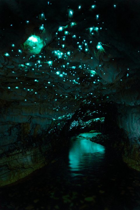 CUL_Uncharted_Nature_10