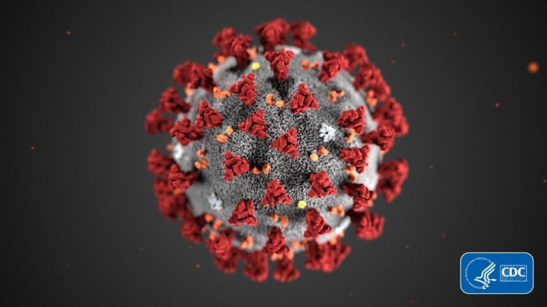 Coronavirus pandemic
