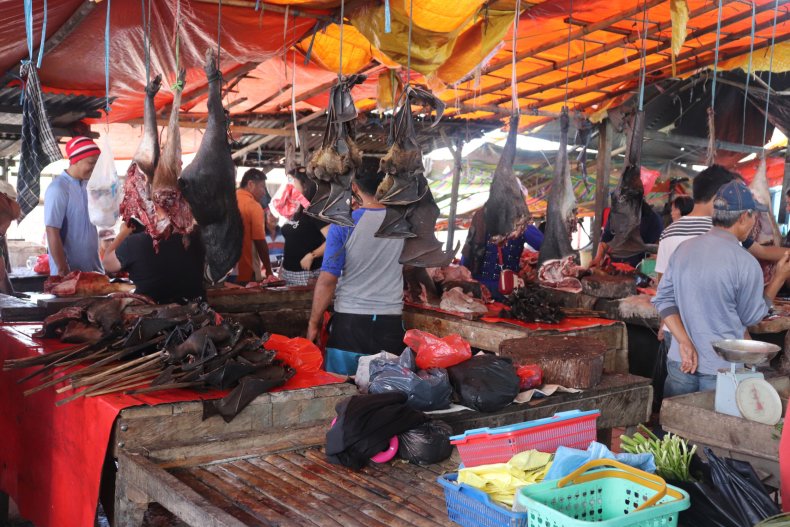 Indonesian market, dead bats