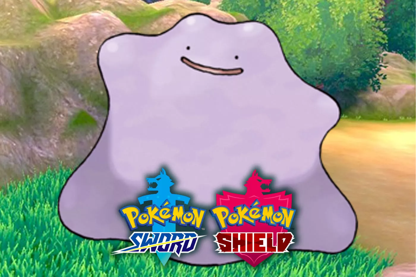 Pokemon Sword and Shield Ditto: How and where to get the Transform Pokemon  in Galar