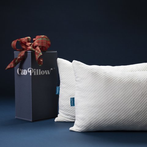 CUL_CBD_CBD Pillow