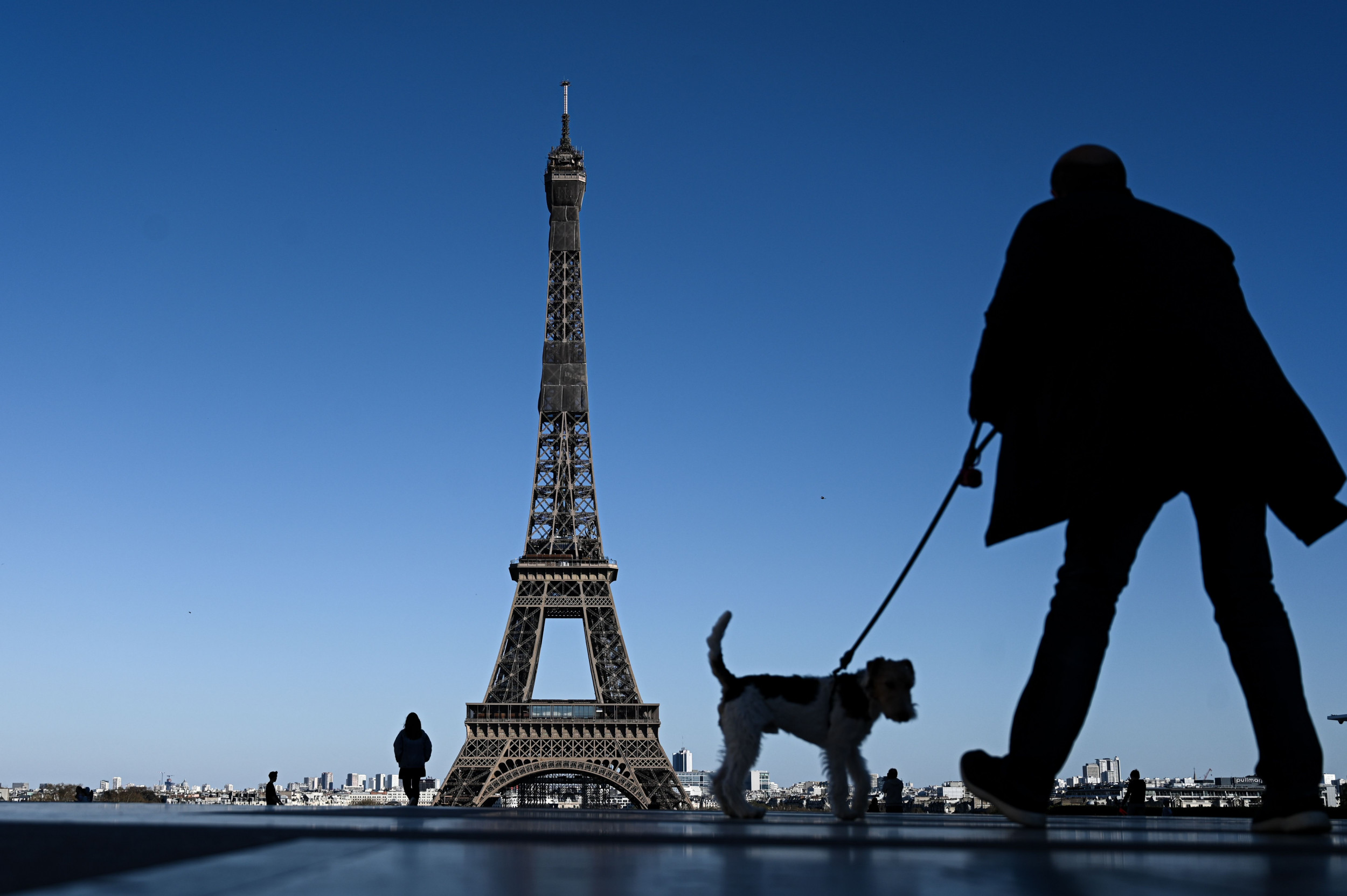 Meet The Man Walking Around The World With Only His Dog For Company