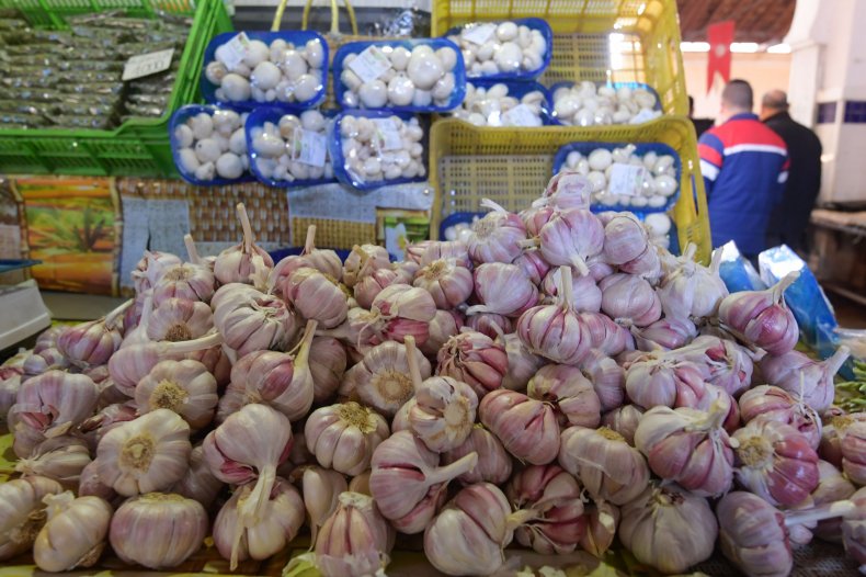Garlic