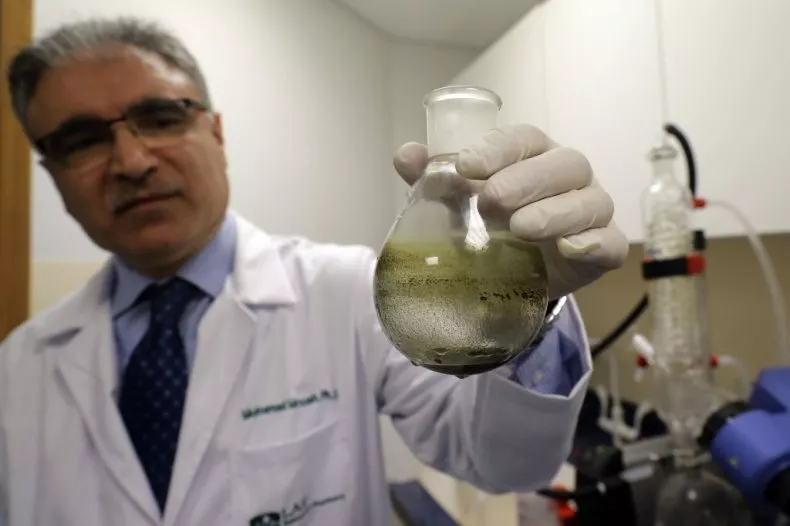 Lebanon cannabis Lebanon cannabis