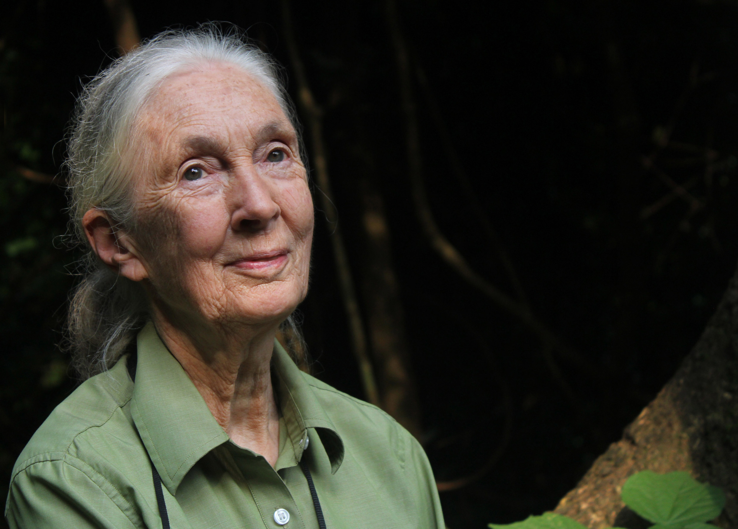 Jane Goodall Says Pandemic Is Due to 'Little Respect for the Natural
