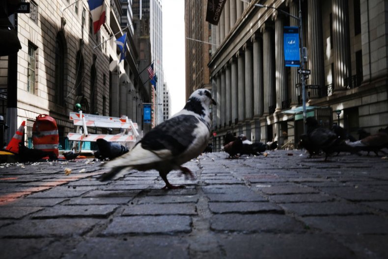 Pigeons on Wall Street