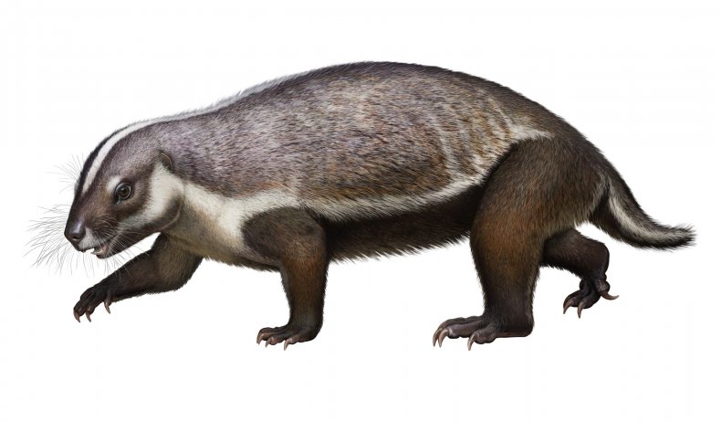 Adalatherium hui
